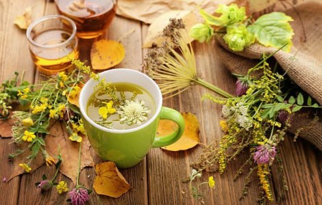 6 reglas para preparar té de hierbas